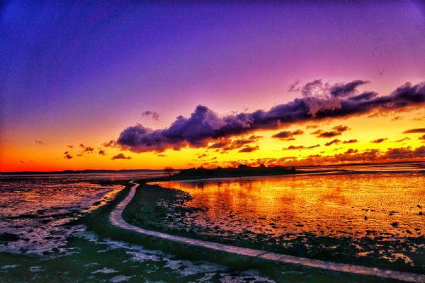 Dawn at Islandhill by Boyce ED